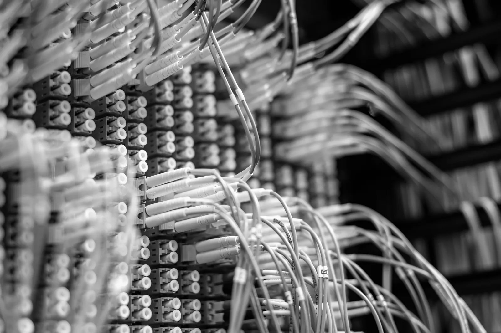 Thin blue network cables plugged into a row of white connectors on a patch panel